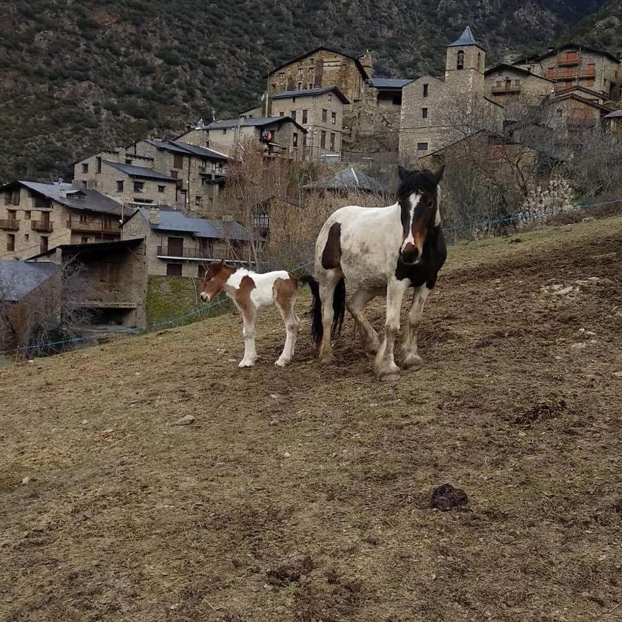 Affittacamere Cal Gerard - Arcavell Esterno foto
